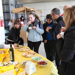 Edizione 2013 di Frantoi Aperti a Trani